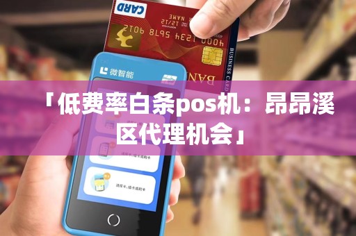 「低费率白条pos机：昂昂溪区代理机会」