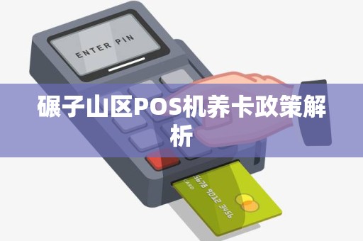 碾子山区POS机养卡政策解析