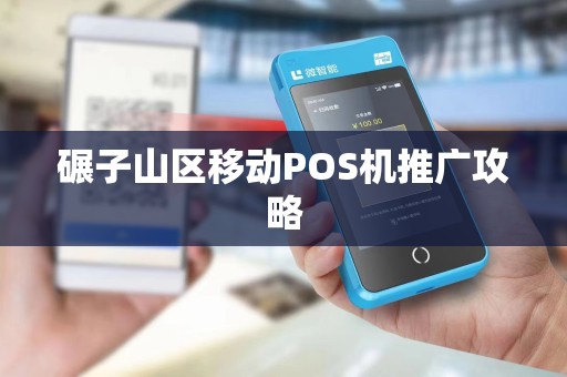 碾子山区移动POS机推广攻略