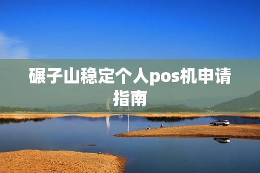 碾子山稳定个人pos机申请指南