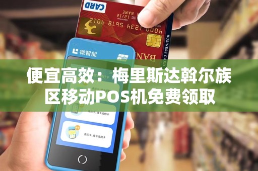 便宜高效：梅里斯达斡尔族区移动POS机免费领取
