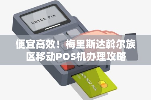 便宜高效！梅里斯达斡尔族区移动POS机办理攻略