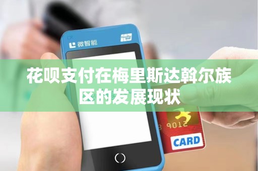 花呗支付在梅里斯达斡尔族区的发展现状