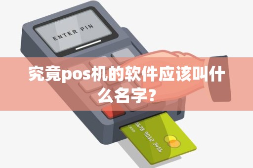 究竟pos机的软件应该叫什么名字？