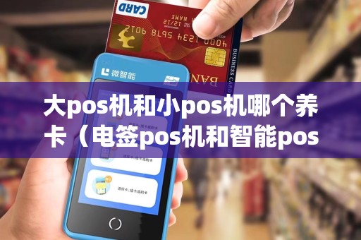 大pos机和小pos机哪个养卡（电签pos机和智能pos机哪个好）