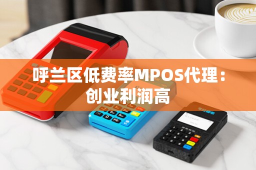 呼兰区低费率MPOS代理：创业利润高