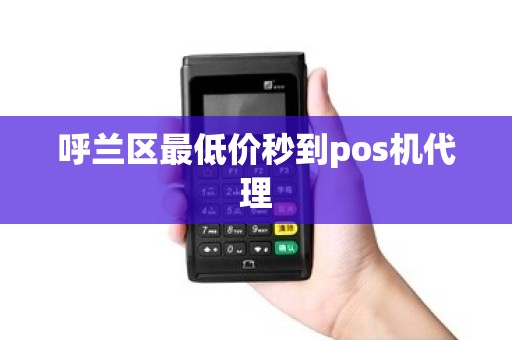 呼兰区最低价秒到pos机代理