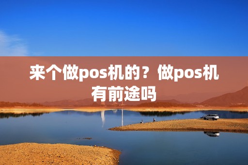 来个做pos机的？做pos机有前途吗