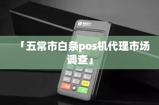 「五常市白条pos机代理市场调查」
