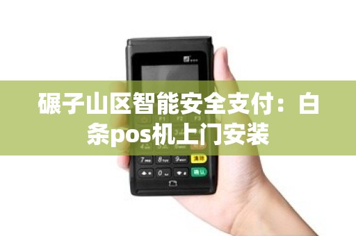 碾子山区智能安全支付：白条pos机上门安装