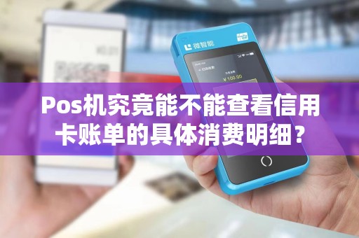 Pos机究竟能不能查看信用卡账单的具体消费明细？