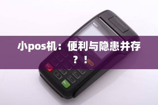 小pos机：便利与隐患并存？！