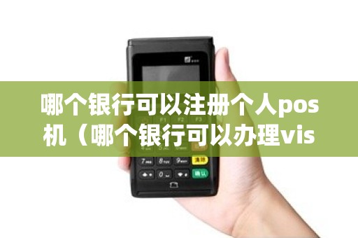 哪个银行可以注册个人pos机（哪个银行可以办理visa）
