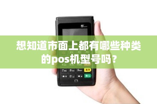 想知道市面上都有哪些种类的pos机型号吗？
