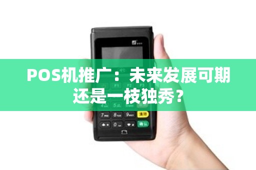 POS机推广：未来发展可期还是一枝独秀？