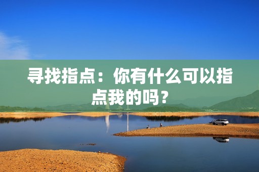 寻找指点：你有什么可以指点我的吗？