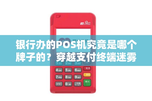 银行办的POS机究竟是哪个牌子的？穿越支付终端迷雾，解锁金融科技之迷！