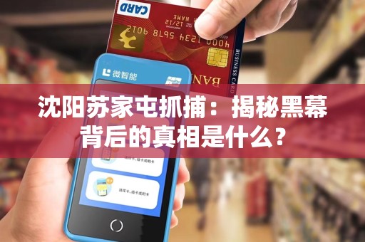 沈阳苏家屯抓捕：揭秘黑幕背后的真相是什么？