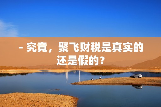 - 究竟，聚飞财税是真实的还是假的？