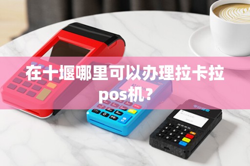 在十堰哪里可以办理拉卡拉pos机？