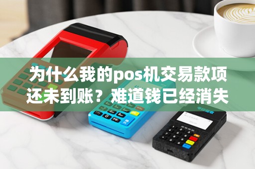 为什么我的pos机交易款项还未到账？难道钱已经消失了吗？
