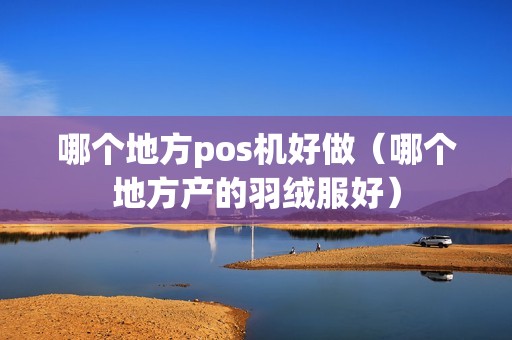 哪个地方pos机好做（哪个地方产的羽绒服好）
