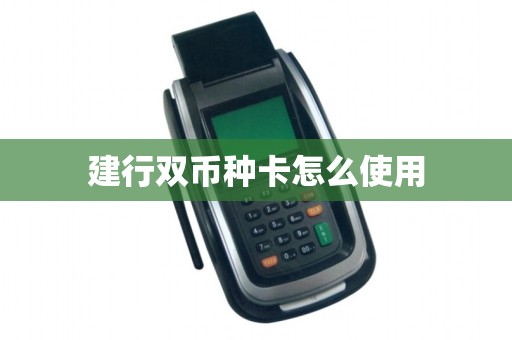 建行双币种卡怎么使用