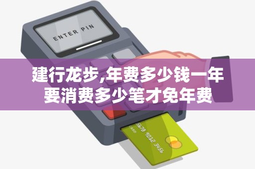 建行龙步,年费多少钱一年要消费多少笔才免年费