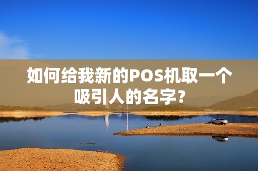 如何给我新的POS机取一个吸引人的名字？