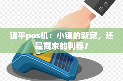镇平pos机：小镇的新宠，还是商家的利器？