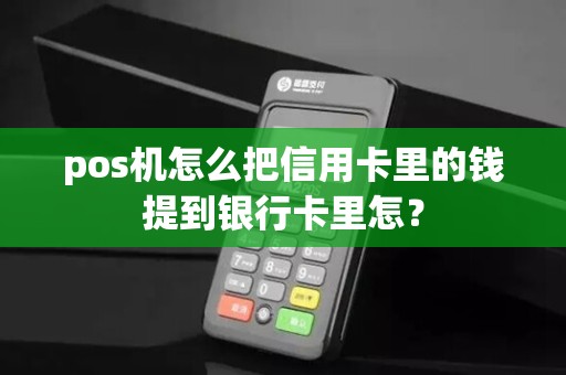 pos机怎么把信用卡里的钱提到银行卡里怎？