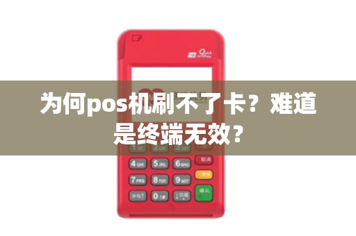 为何pos机刷不了卡？难道是终端无效？