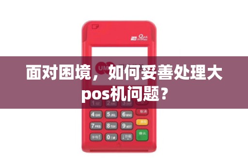 面对困境，如何妥善处理大pos机问题？