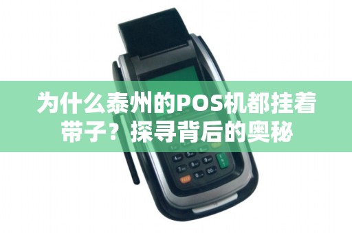 为什么泰州的POS机都挂着带子？探寻背后的奥秘