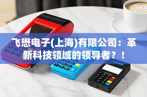 飞懋电子(上海)有限公司：革新科技领域的领导者？！