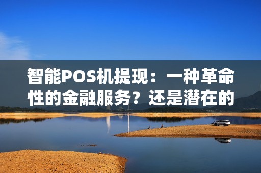 智能POS机提现：一种革命性的金融服务？还是潜在的安全风险？