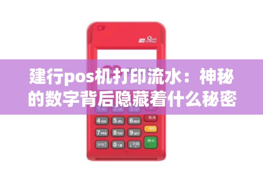 建行pos机打印流水：神秘的数字背后隐藏着什么秘密？