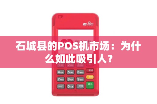 石城县的POS机市场：为什么如此吸引人？