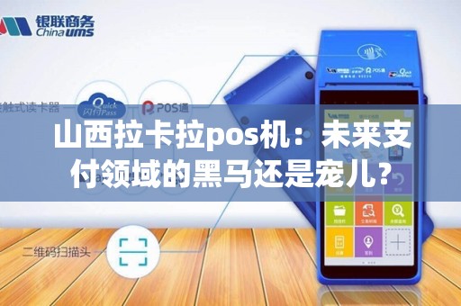 山西拉卡拉pos机：未来支付领域的黑马还是宠儿？