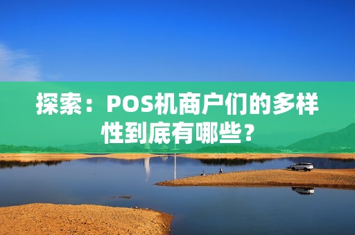 探索：POS机商户们的多样性到底有哪些？