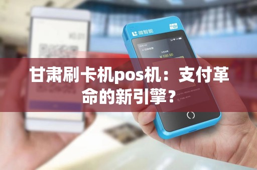 甘肃刷卡机pos机：支付革命的新引擎？