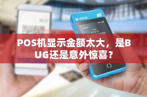 POS机显示金额太大，是BUG还是意外惊喜？