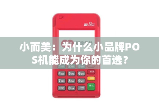 小而美：为什么小品牌POS机能成为你的首选？