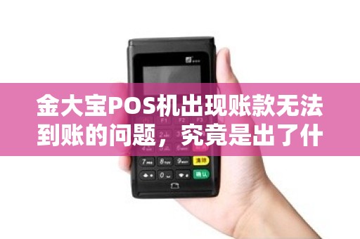 金大宝POS机出现账款无法到账的问题，究竟是出了什么差错？