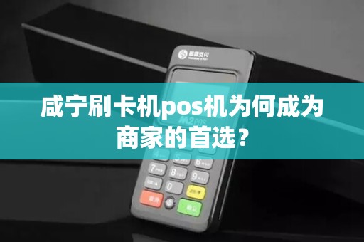咸宁刷卡机pos机为何成为商家的首选？