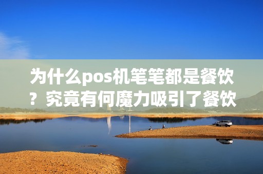 为什么pos机笔笔都是餐饮？究竟有何魔力吸引了餐饮业主？