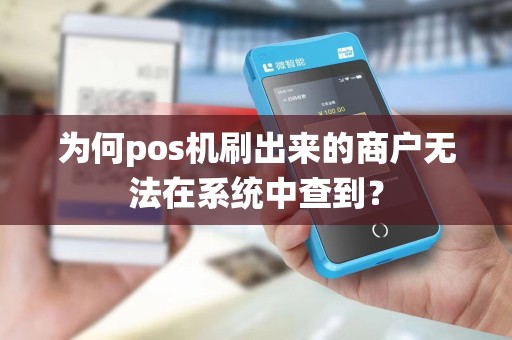 为何pos机刷出来的商户无法在系统中查到？