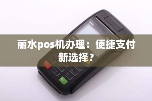 丽水pos机办理：便捷支付新选择？