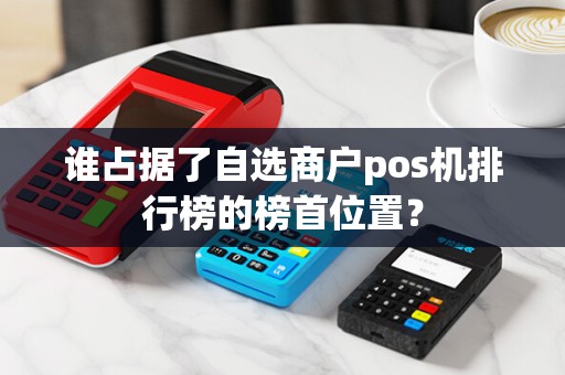 谁占据了自选商户pos机排行榜的榜首位置？