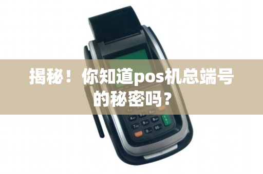 揭秘！你知道pos机总端号的秘密吗？